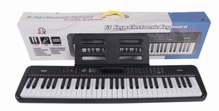 61 KEY ELECTRONIC ORGAN W/MICROPHONE,