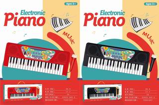 ELECTRONIC ORGAN,