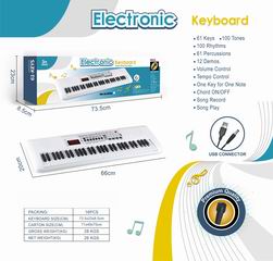 ELECTRONIC ORGAN,