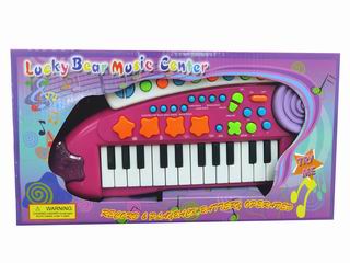 24 KEY ELECTRONIC ORGAN,