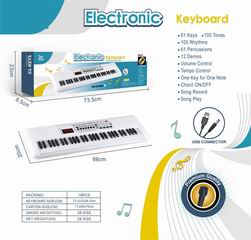 ELECTRONIC ORGAN,