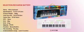ELECTRONIC ORGAN,