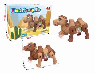 B/O CAMEL,