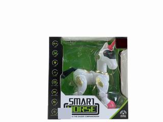 R/C UNICORN,