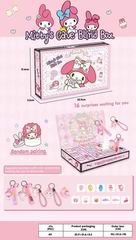 SURPRISE BOX,