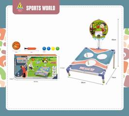 2 IN 1 BASKETBALL SET,