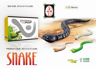 R/C SNAKE,