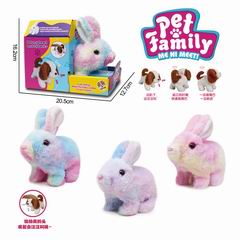 B/O RABBIT,