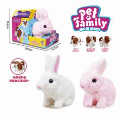 B/O RABBIT,