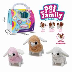 B/O SHEEP,