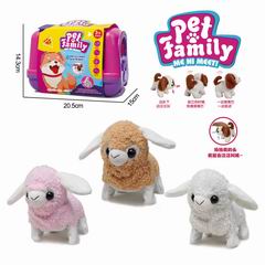 B/O SHEEP,