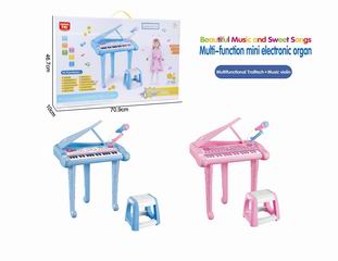 ELECTRONIC ORGAN,