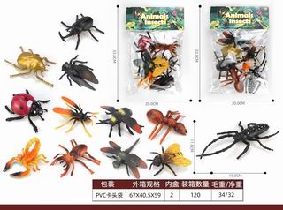 INSECTS 6PCS,