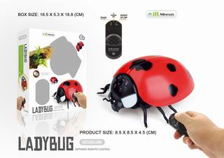 R/C LADYBUG,