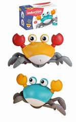 B/O CRAB,