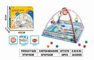 ACTIVITY GYM,