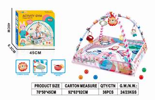 ACTIVITY GYM,