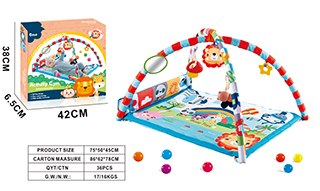 ACTIVITY GYM,