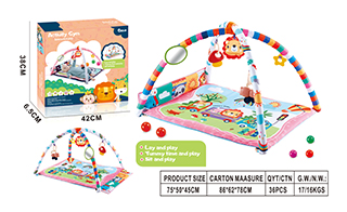 ACTIVITY GYM,