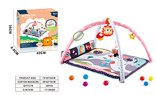 ACTIVITY GYM,
