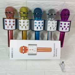 MICROPHONE W/LIGHT,