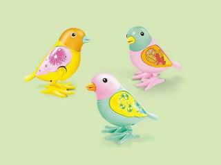 WAND UP BIRD,