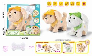 R/C DOG W/MUSIC & RECORD,