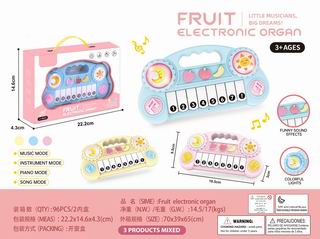 ELECTRONIC ORGAN,