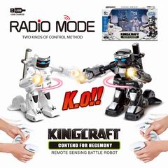 2.4G R/C ROBOT,