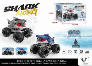 2.4G R/C BUBBLE CAR,