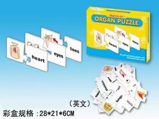 ORGAN PUZZLE,