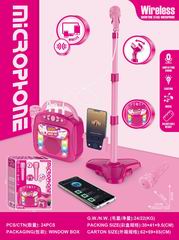 MICROPHONE W/LIGHT,
